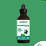 Chlorophylle 15X Liquide | Menthe