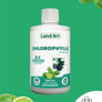 Chlorophylle 5X Liquide | Lime & Basilic
