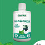 Chlorophylle 5X Liquide | Menthe
