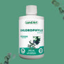 Pack Chlorophylles