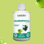 Pack Chlorophylles