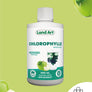 Chlorophylle Liquide | Pomme