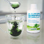 Chlorophylle 5X Liquide | Lime & Basilic