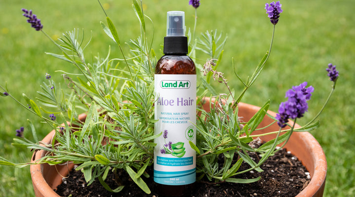 Découvrez Aloe Hair de Land Art