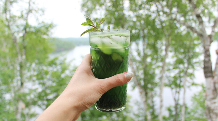 Chia fresca concombre-chlorophylle