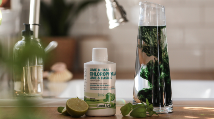 La Chlorophylle : Bienfaits et origines