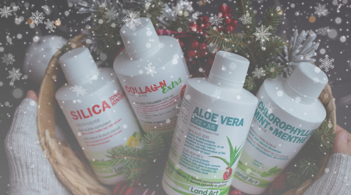 Idées-cadeaux signées Land Art