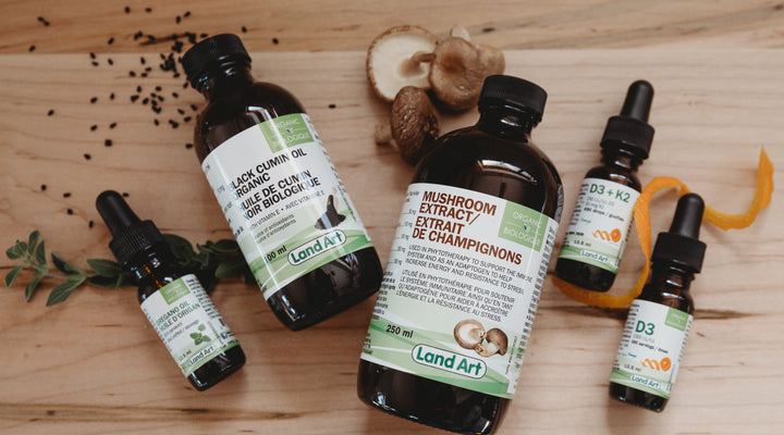 Comment aider notre système immunitaire