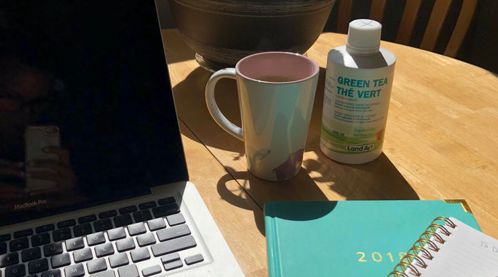 Le thé vert : l'antioxydant énergisant !