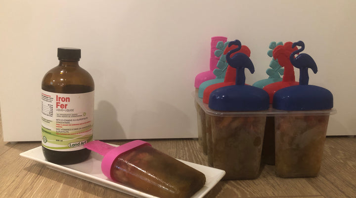 Le rôle et l’importance du fer pour l’organisme