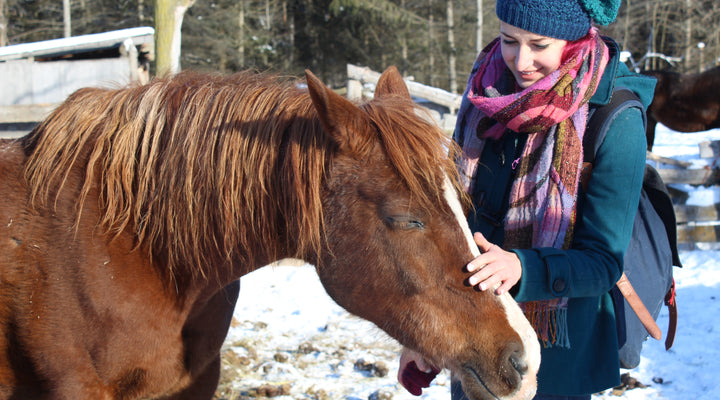 Être végétarien, végétalien ou végane… un style de vie de plus en plus populaire?