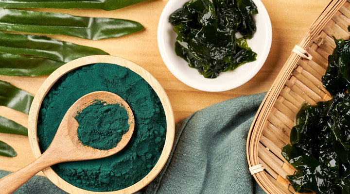 La Spiruline : Un superaliment aux multiples bienfaits