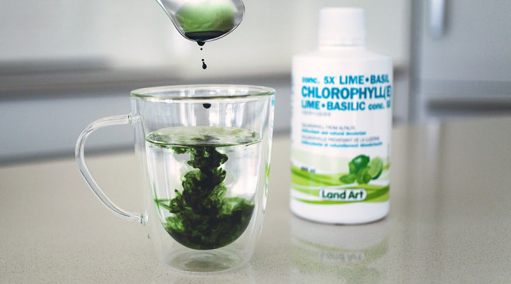 Voyages dans le Sud : 3 musts à glisser dans vos bagages