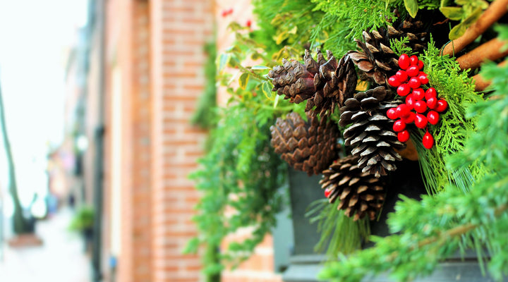 Les fêtes s'en viennent à grand pas!