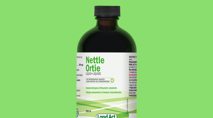 Ortie, « mauvaise herbe » mal aimée