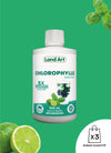 Chlorophylle 5X Liquide | Lime & Basilic