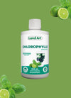 Pack Chlorophylles