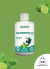 Chlorophylle Liquide | Lime & Basilic