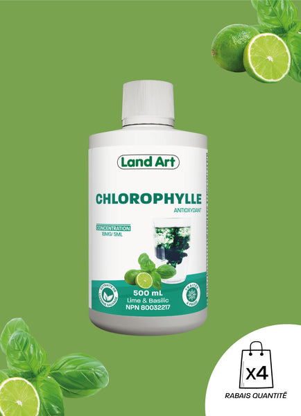 Chlorophylle Liquide | Lime & Basilic
