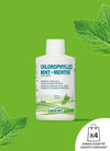 Chlorophylle Liquide | Menthe