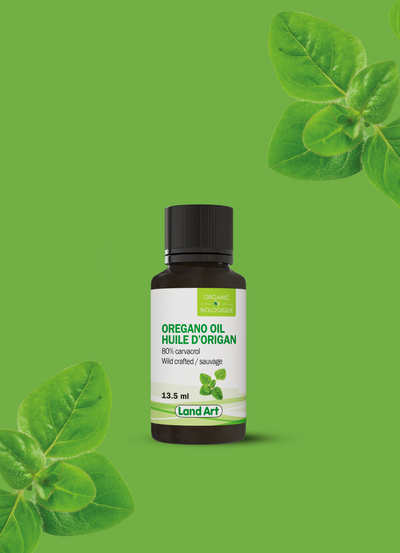 Huile d’origan biologique