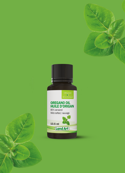Huile d’origan biologique