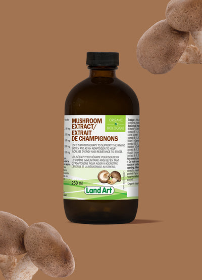 Land-Art-extrait-de-champignons-biologiques-250-ml-80073087-Site-Web-2017-Monolith